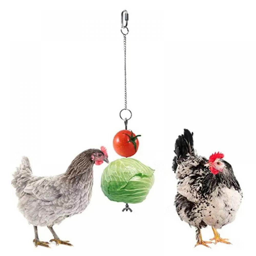 Stainless Steel Bird Cage Fruit & Veg Holder