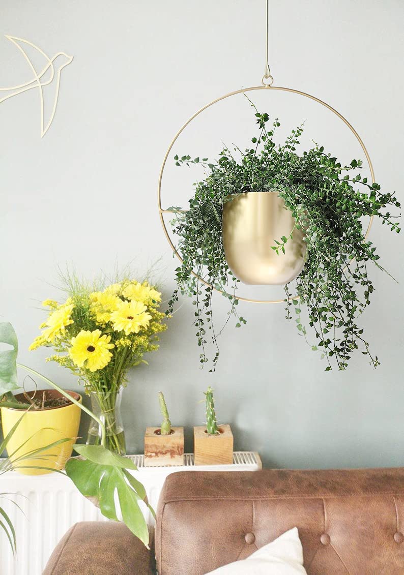 Minimalist Metal Plant Hanger Round Shape-Gold