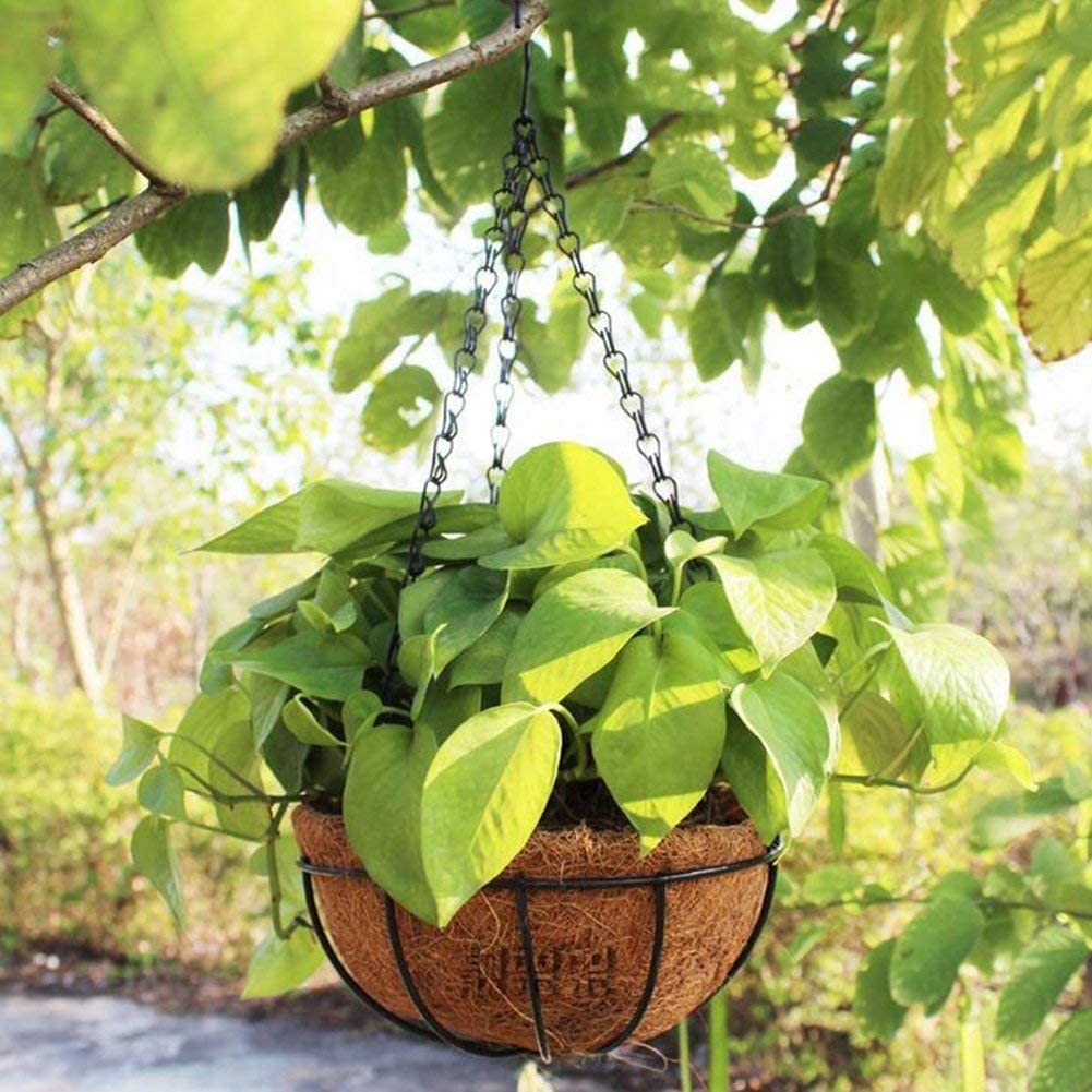 2 Pack 20cm Metal Hanging Planter Basket With Coco Liner