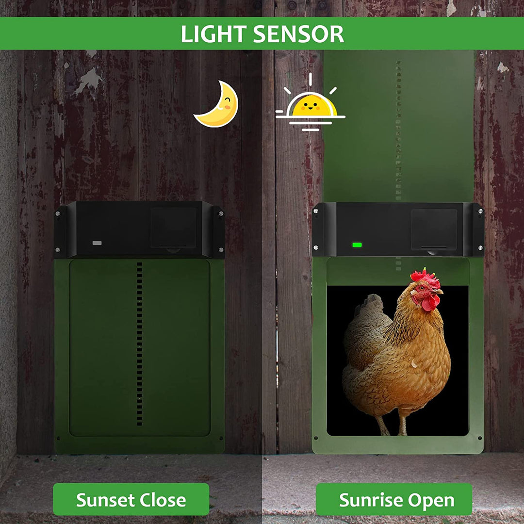Automatic Chicken Coop Door Chicken Door Opener