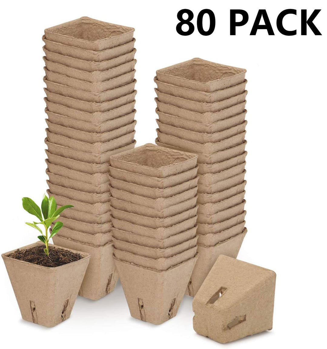 80 Packs Square Peat Pots Plant Starters for Seedling