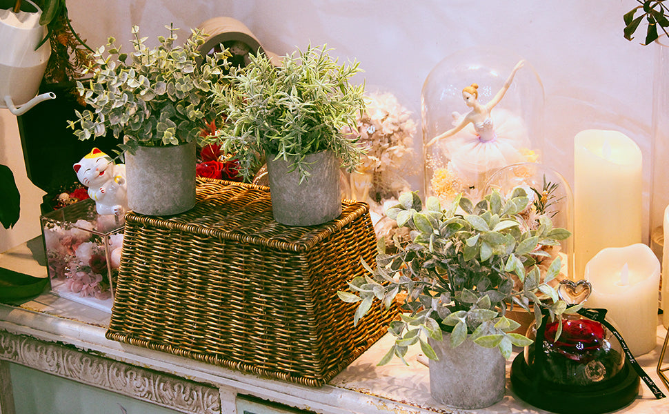 Mini Potted Artificial Plastic Green Plants-Frost Eucalyptus