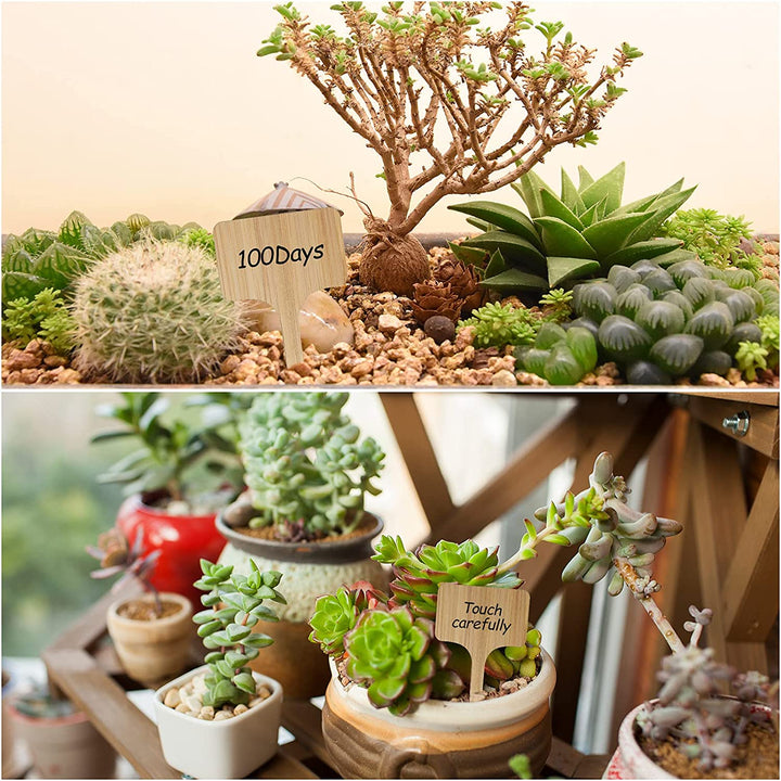 50Pcs T-Type Bamboo Garden Plant Labels