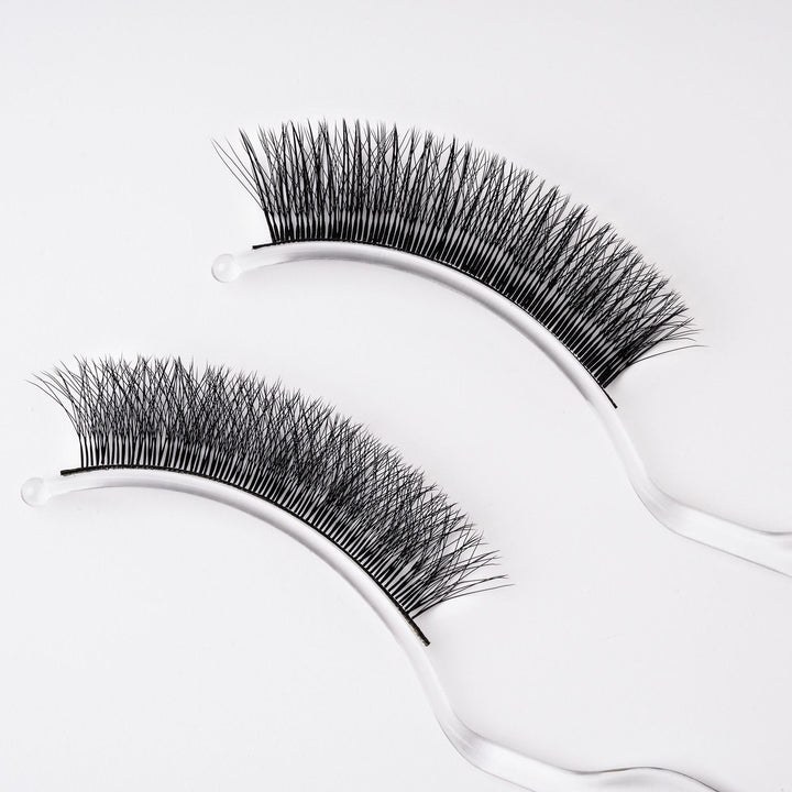 W Lashes Extensions D Curl Mixed Tray(0.07-D, 8-14mm Mix)