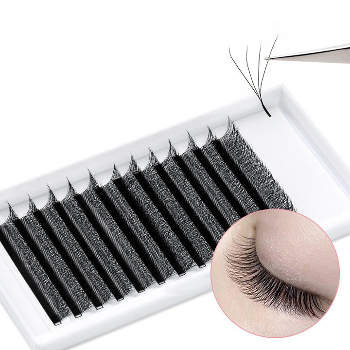 W Lashes Extensions D Curl Mixed Tray(0.07-D, 8-14mm Mix)