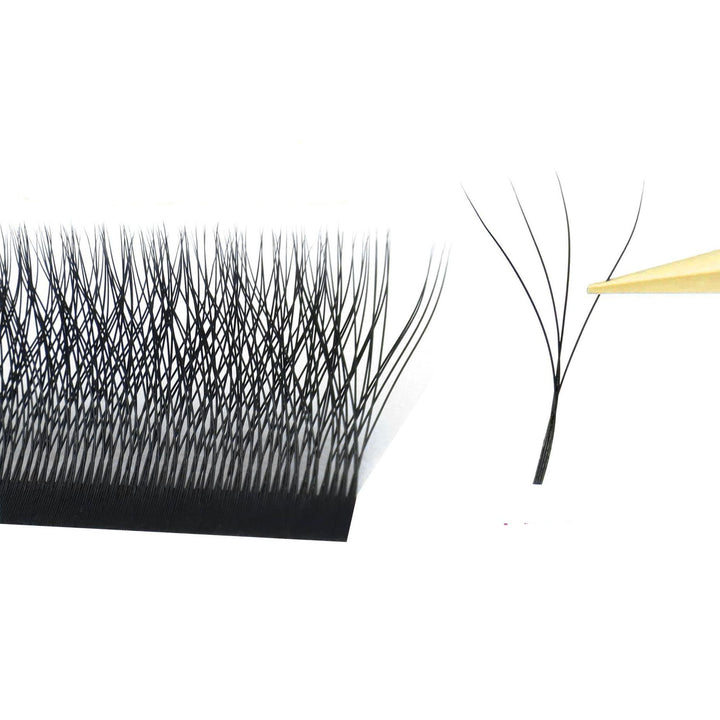 W Lashes Extensions D Curl Mixed Tray(0.07-D, 8-14mm Mix)