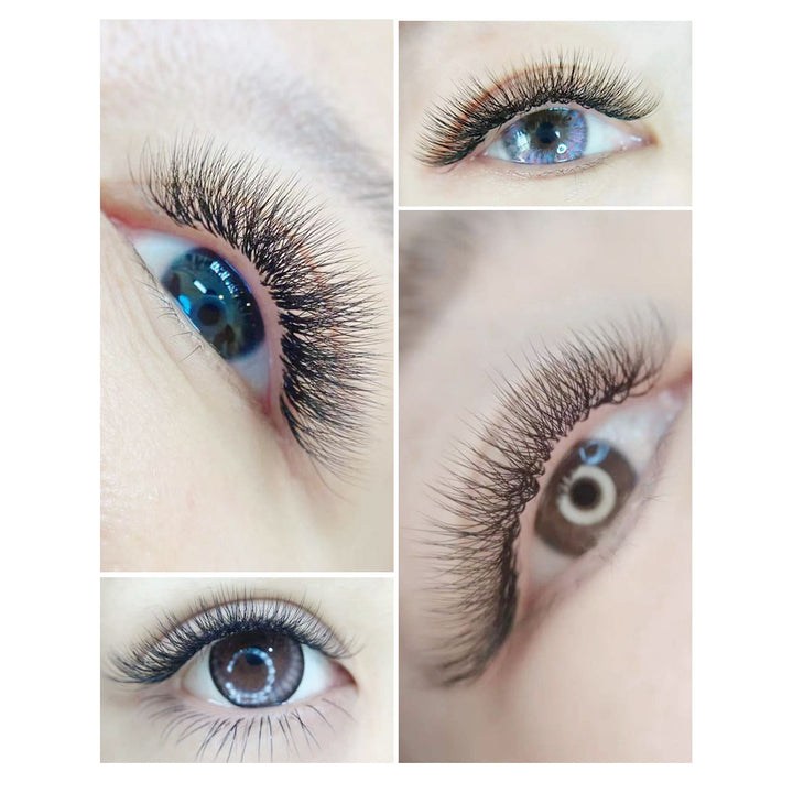 W Lashes Extensions D Curl Mixed Tray(0.07-D, 8-14mm Mix)