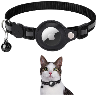 Pet Essentials