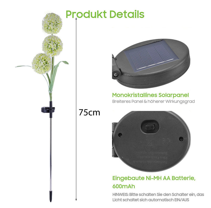 Solar Dandelion Garden Lights Decorative with 36 LED