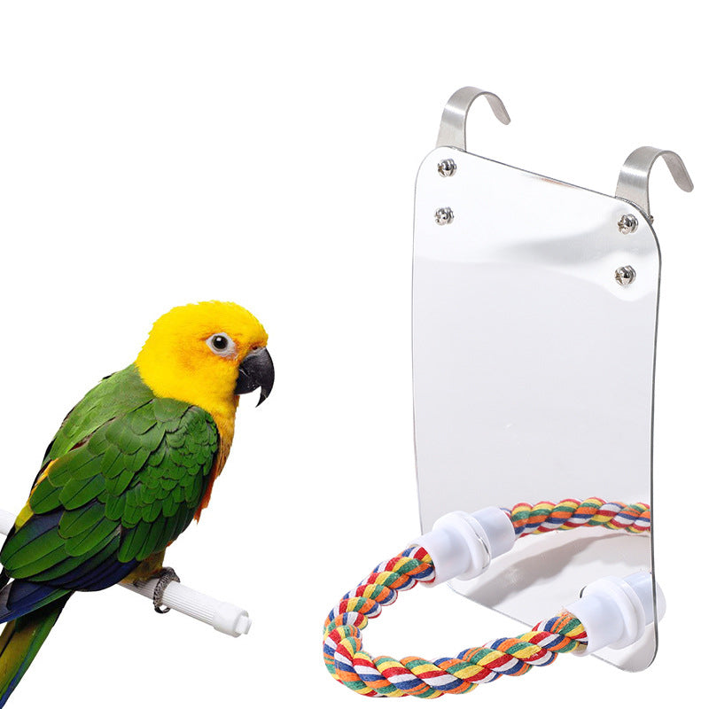 Bird Mirror with Rope Perch