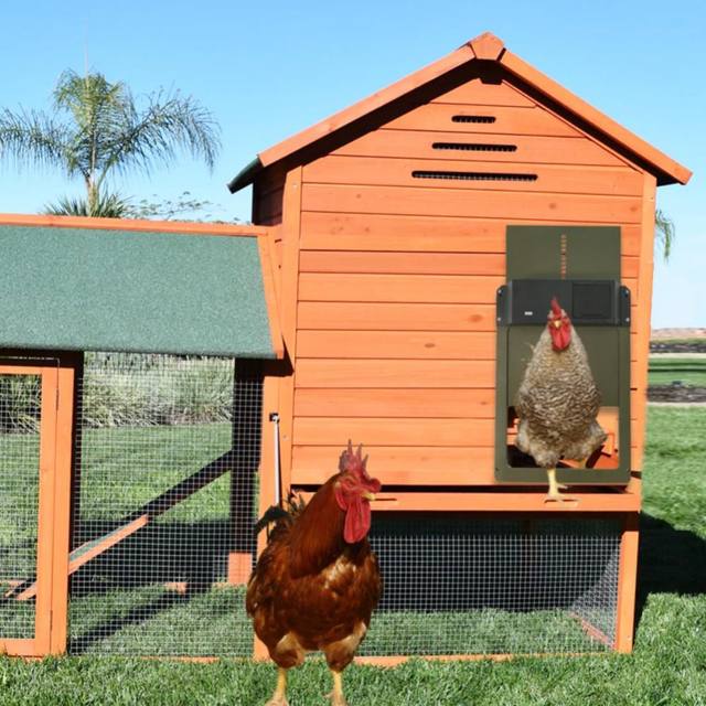 Automatic Chicken Coop Door Chicken Door Opener