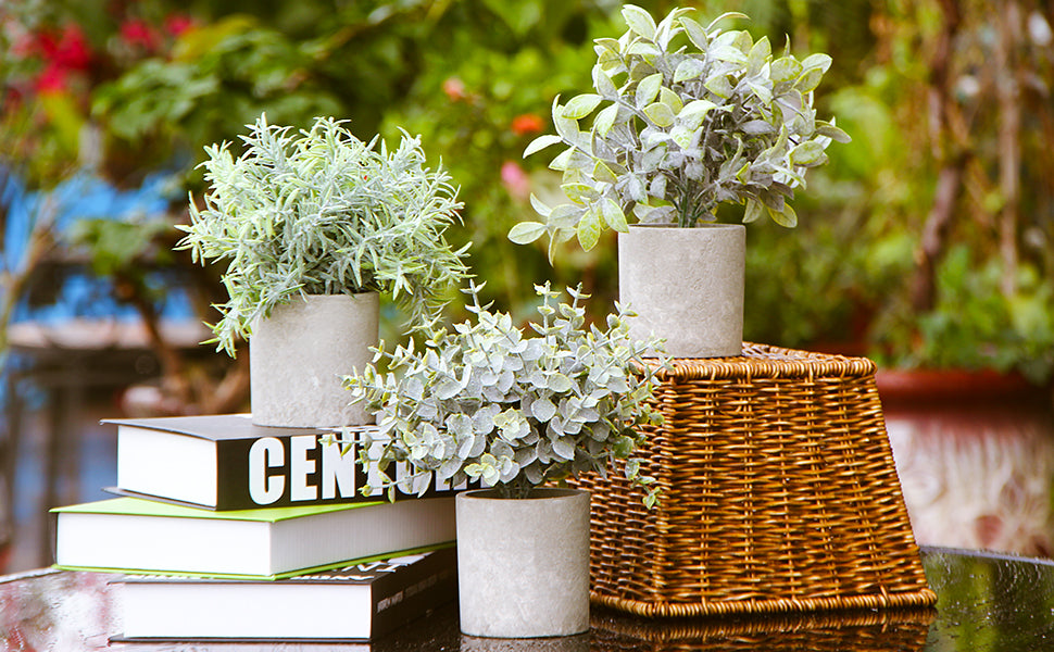 Mini Potted Artificial Plastic Green Plants-Frost Eucalyptus