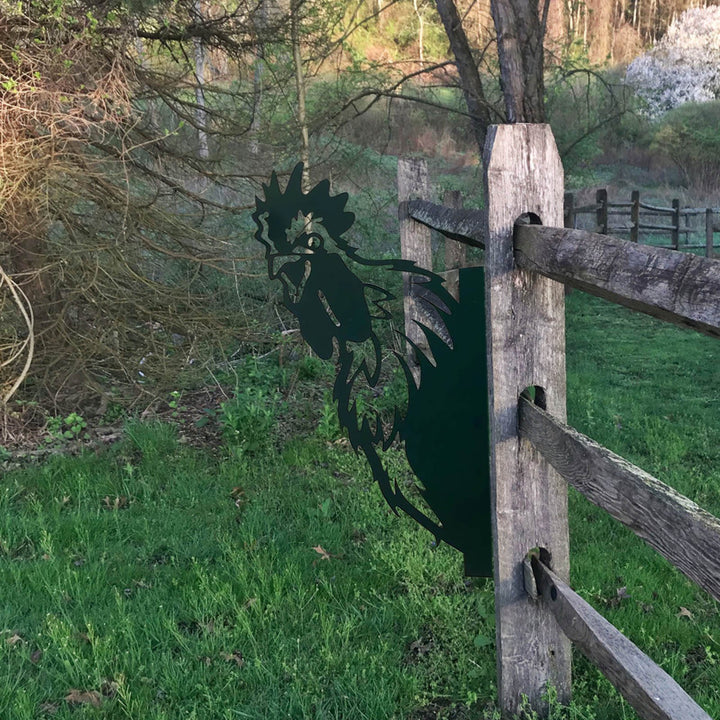 Funny Farm Metal Art Outdoor Decor Chicken